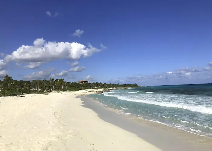 Xcaret Mexico Parks Fun Inclusive (adults Only) Resort